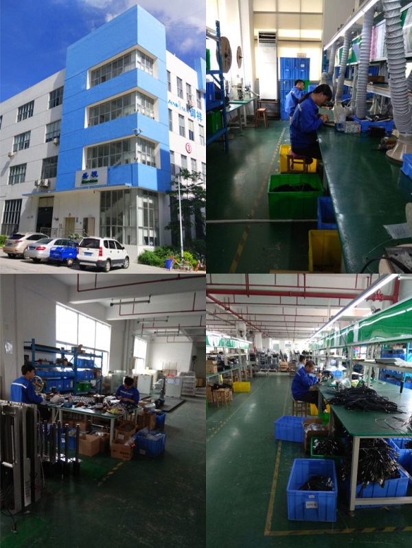 2019大年初一，乐动(中国)ledong·官方网页版,保障春节口岸通关工作