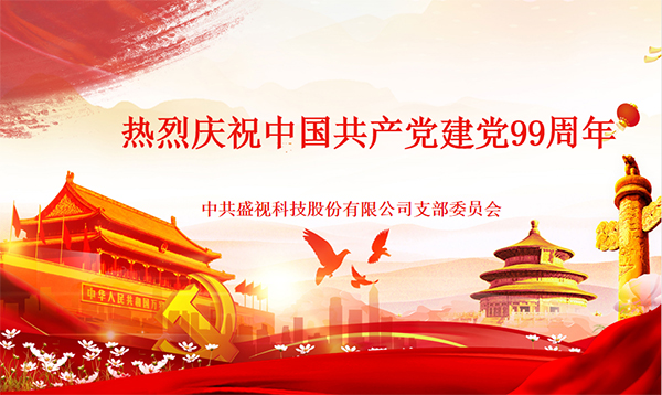 盛视党建动态|乐动(中国)ledong·官方网页版,党组织开展庆祝建党99周年主题党日活动